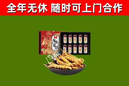 肇庆烟酒回收冬虫夏草礼盒.jpg